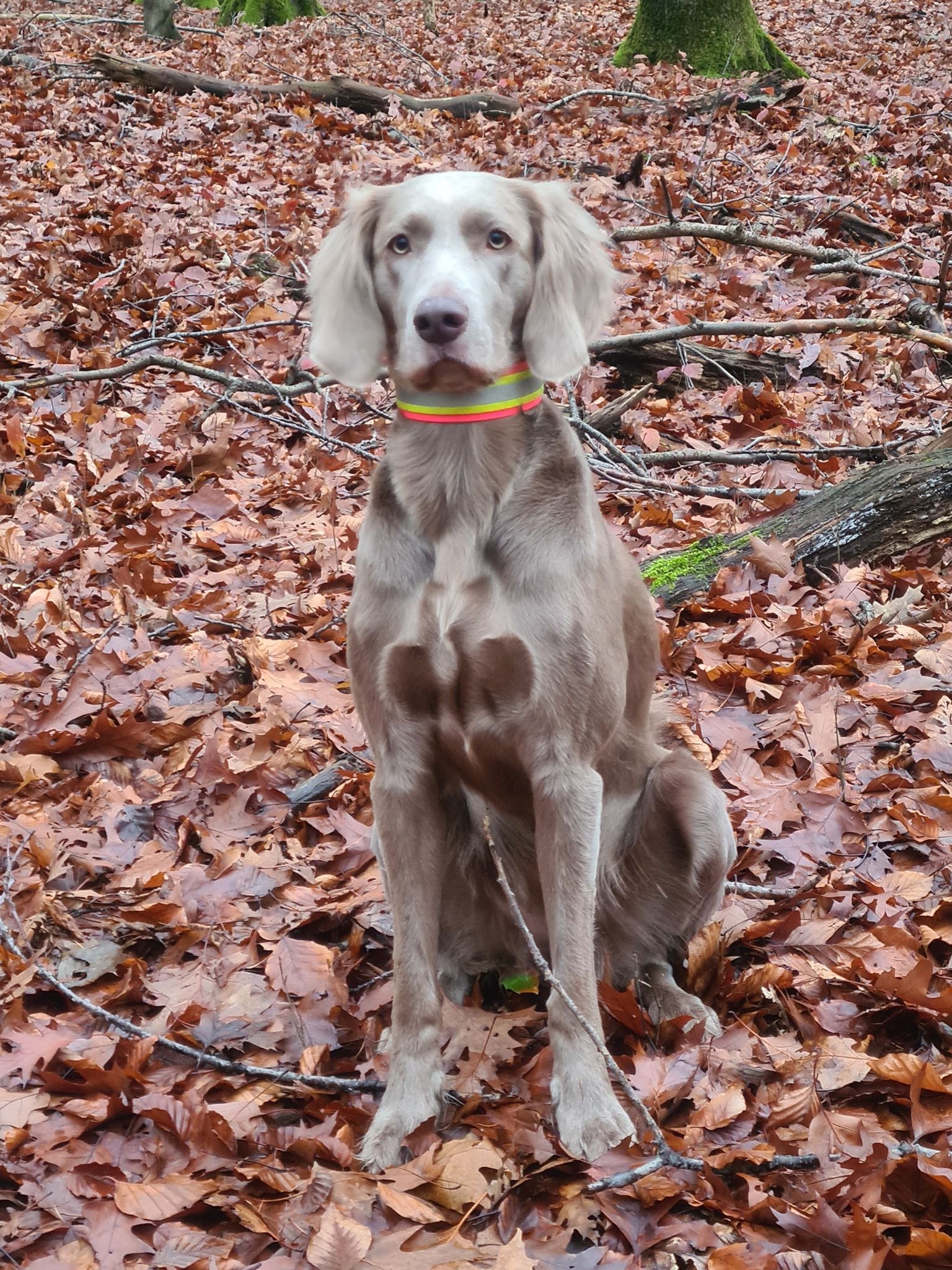 128888687_2874714522759858_7019639132856011248_o